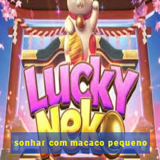 sonhar com macaco pequeno