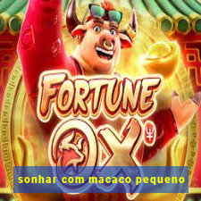 sonhar com macaco pequeno