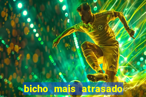 bicho mais atrasado na bahia