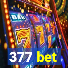 377 bet