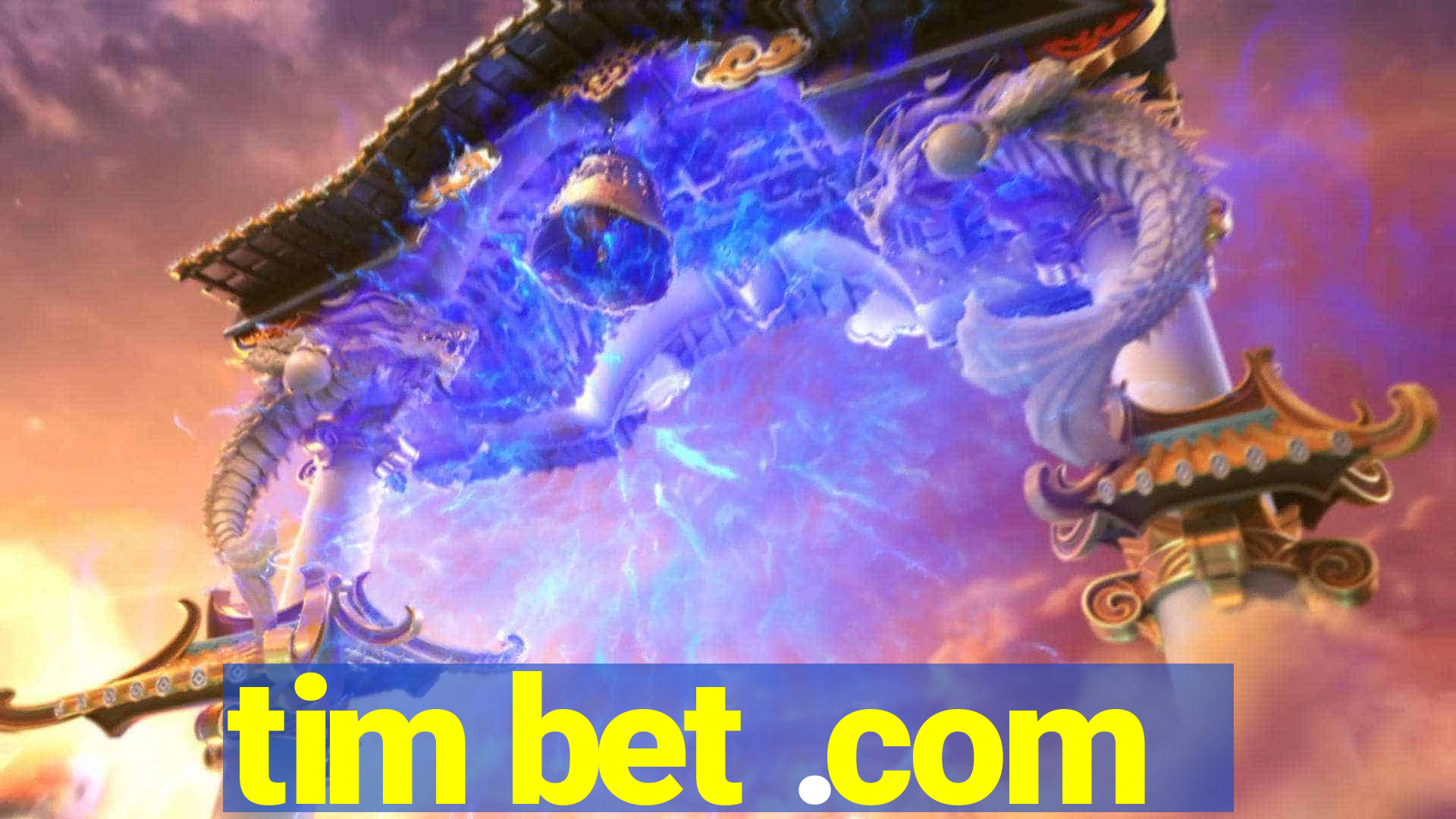 tim bet .com