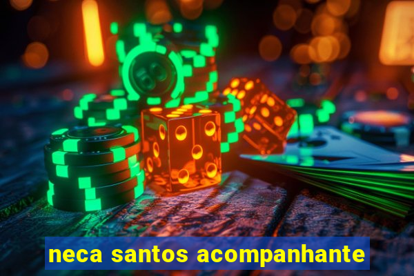 neca santos acompanhante