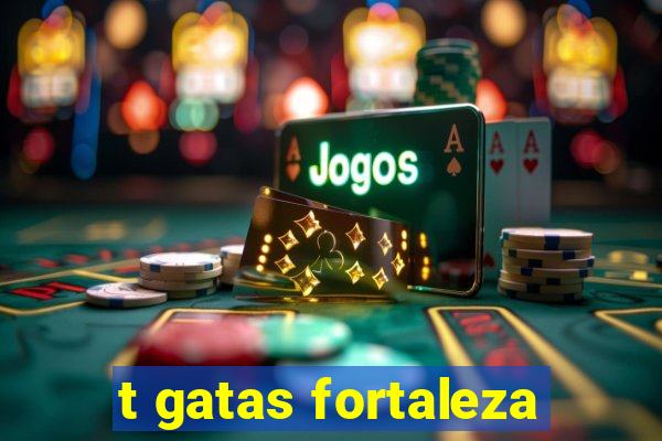 t gatas fortaleza