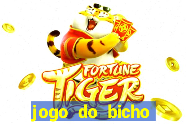 jogo do bicho documentario globoplay