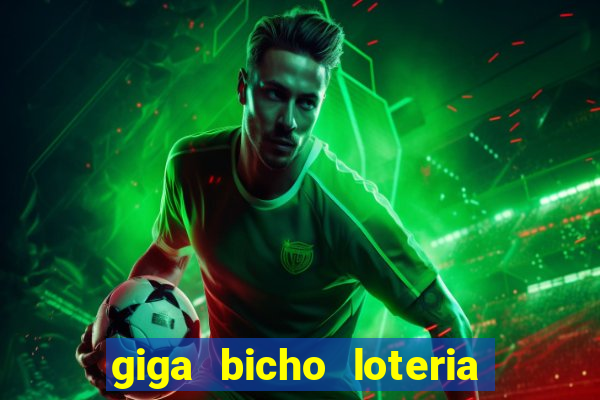 giga bicho loteria dos sonhos