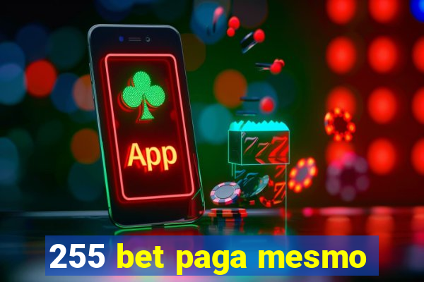 255 bet paga mesmo