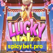 spicybet.pro