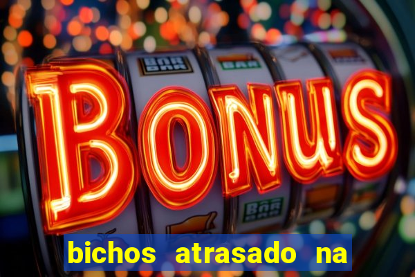 bichos atrasado na loteria dos sonhos