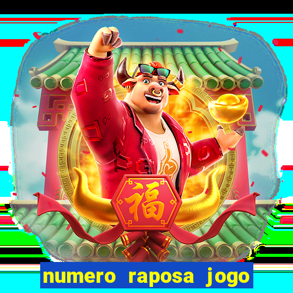 numero raposa jogo do bicho