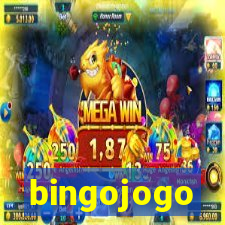 bingojogo