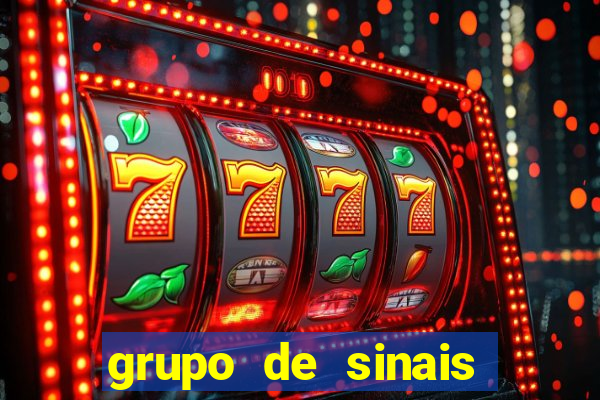 grupo de sinais fortune rabbit