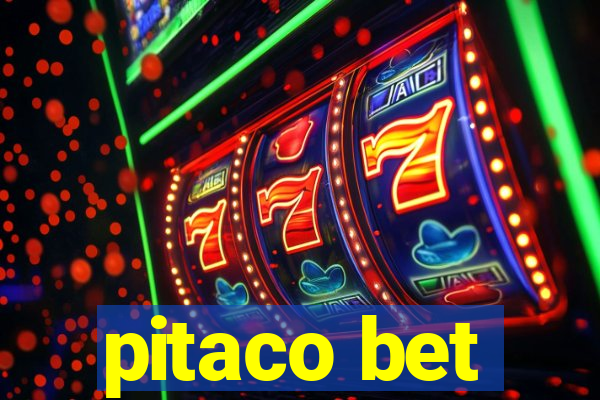 pitaco bet