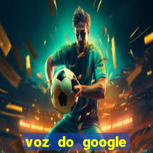 voz do google tradutor homem