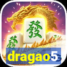 dragao5