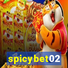 spicybet02