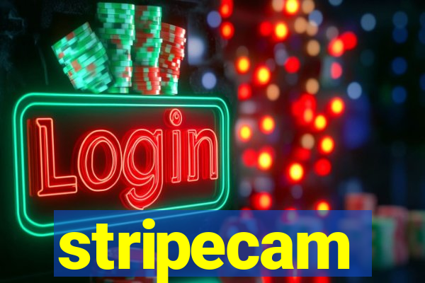 stripecam