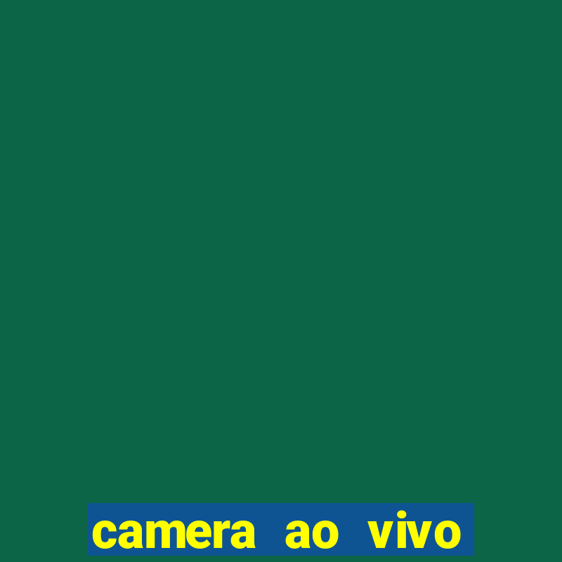 camera ao vivo terminal vila nova cachoeirinha