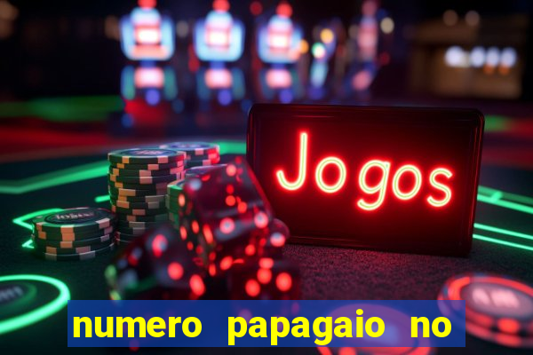 numero papagaio no jogo do bicho