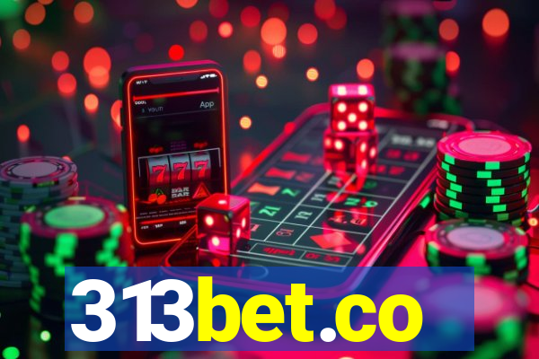 313bet.co