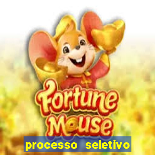 processo seletivo cerejeiras 2024