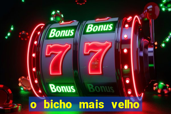 o bicho mais velho da loteria dos sonhos