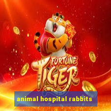 animal hospital rabbits