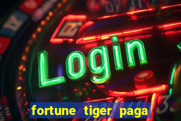 fortune tiger paga de madrugada