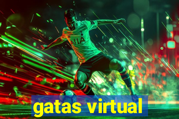 gatas virtual