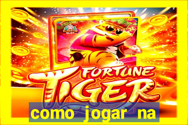 como jogar na seninha online