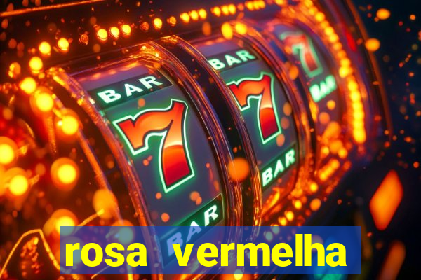 rosa vermelha (letra e cifra)