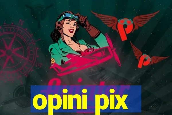 opini pix