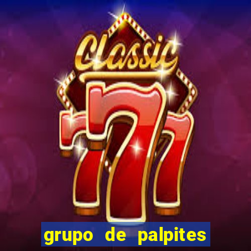 grupo de palpites de futebol whatsapp