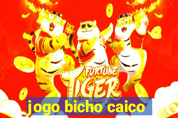 jogo bicho caico