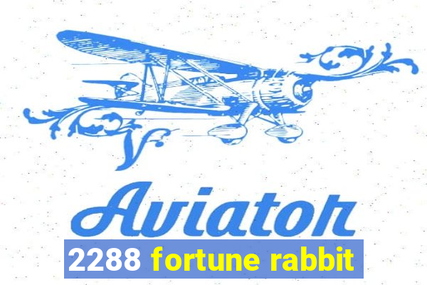 2288 fortune rabbit