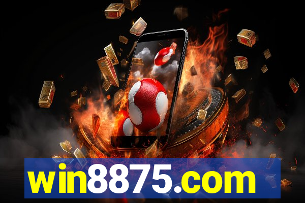 win8875.com