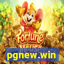 pgnew.win