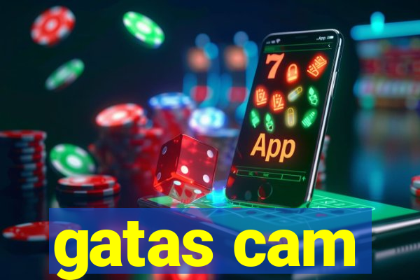 gatas cam