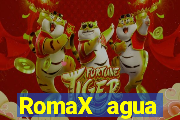 RomaX agua sanitaria fispq agua sanitaria romax