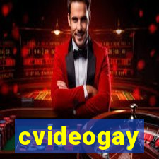 cvideogay