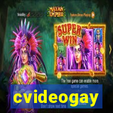 cvideogay