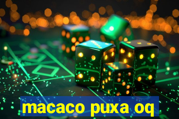 macaco puxa oq