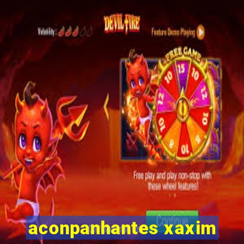 aconpanhantes xaxim