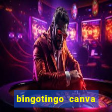 bingotingo canva pro gratis