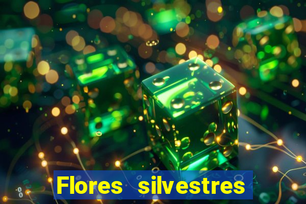 Flores silvestres brasileiras brasileiras flores silvestres nomes e imagens