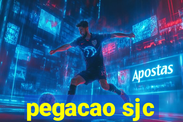 pegacao sjc