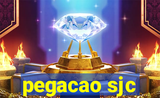 pegacao sjc