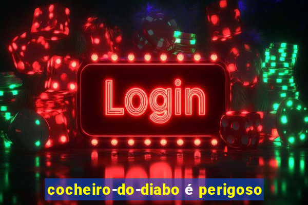 cocheiro-do-diabo é perigoso