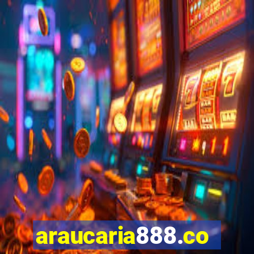 araucaria888.com