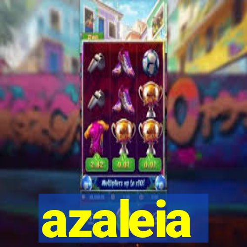 azaleia-br.com