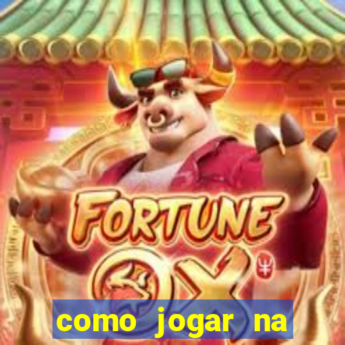 como jogar na loteca pela internet